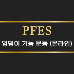엉덩이 기능 운동(온라인)
