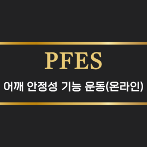 어깨 안정성 기능 운동(온라인)
